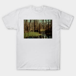 Swamp in Southeastern Georgia T-Shirt